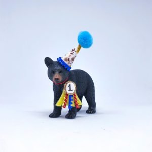 Black Bear Cub