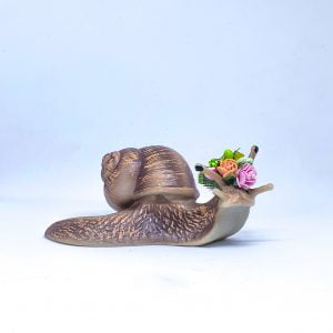 Giant Land Snail