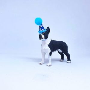 Boston Terrier