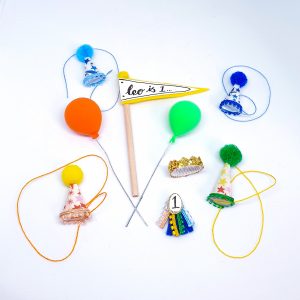 Separate Party Hat