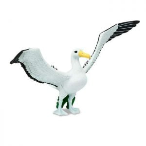 Albatross Seagull
