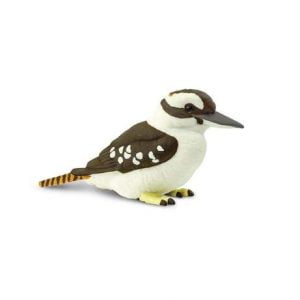 Kookaburra