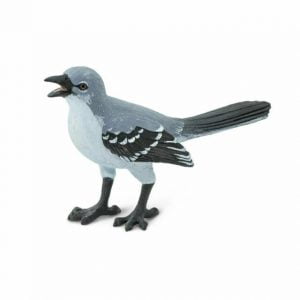Mocking Bird