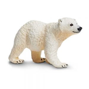 Walking Polar Bear Cub