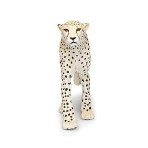 Gentle Giants Cheetah