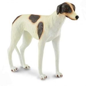 Greyhound Dog