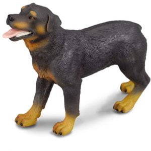 Rottweiler Dog