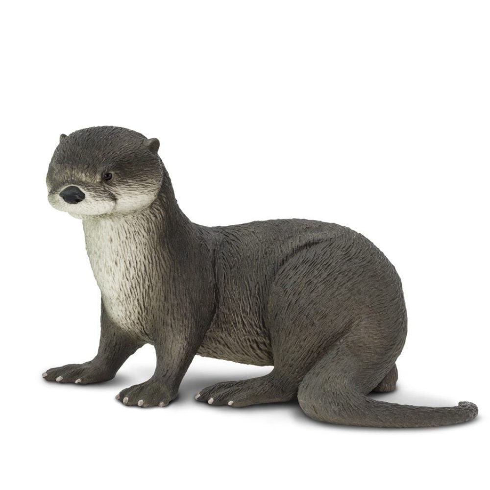 266429_River_Otter