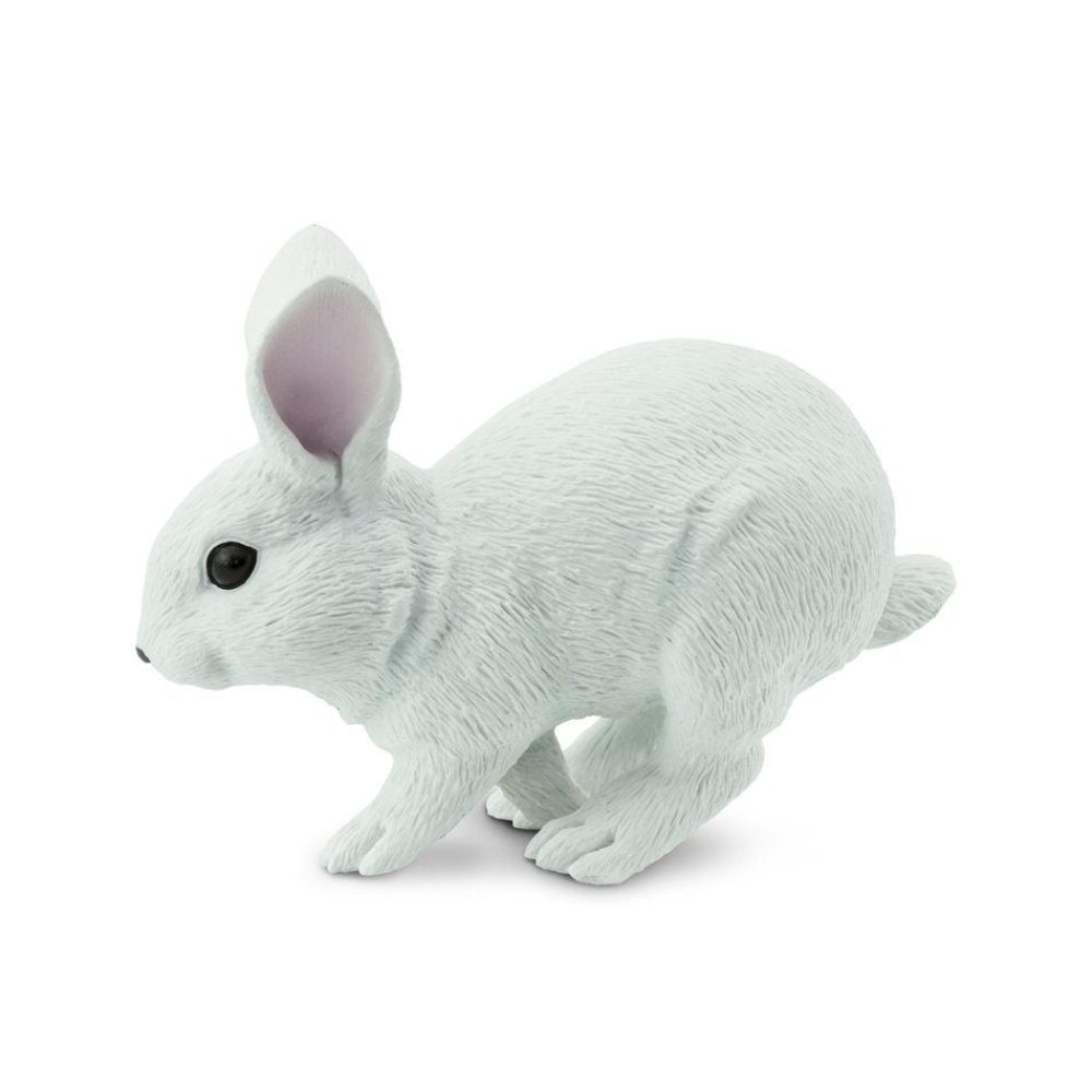 266629_White_Bunny