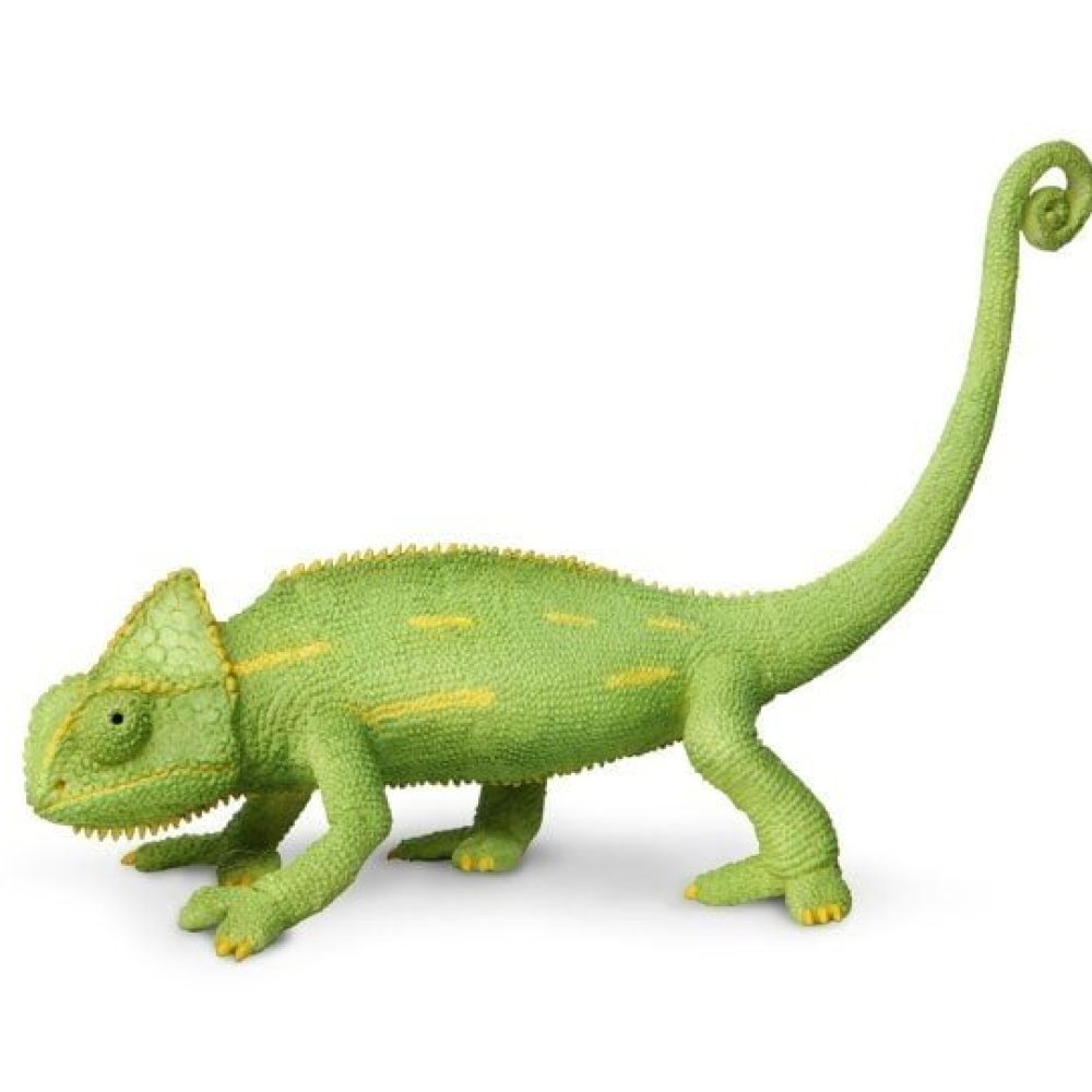 Chamaeleon_Baby