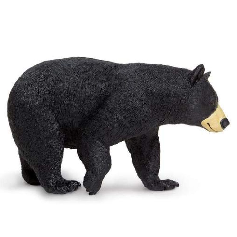 black-bear-870557_508x508