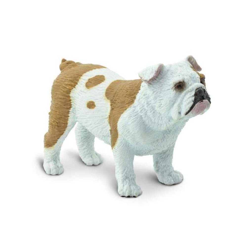 bulldog-328109_700x700