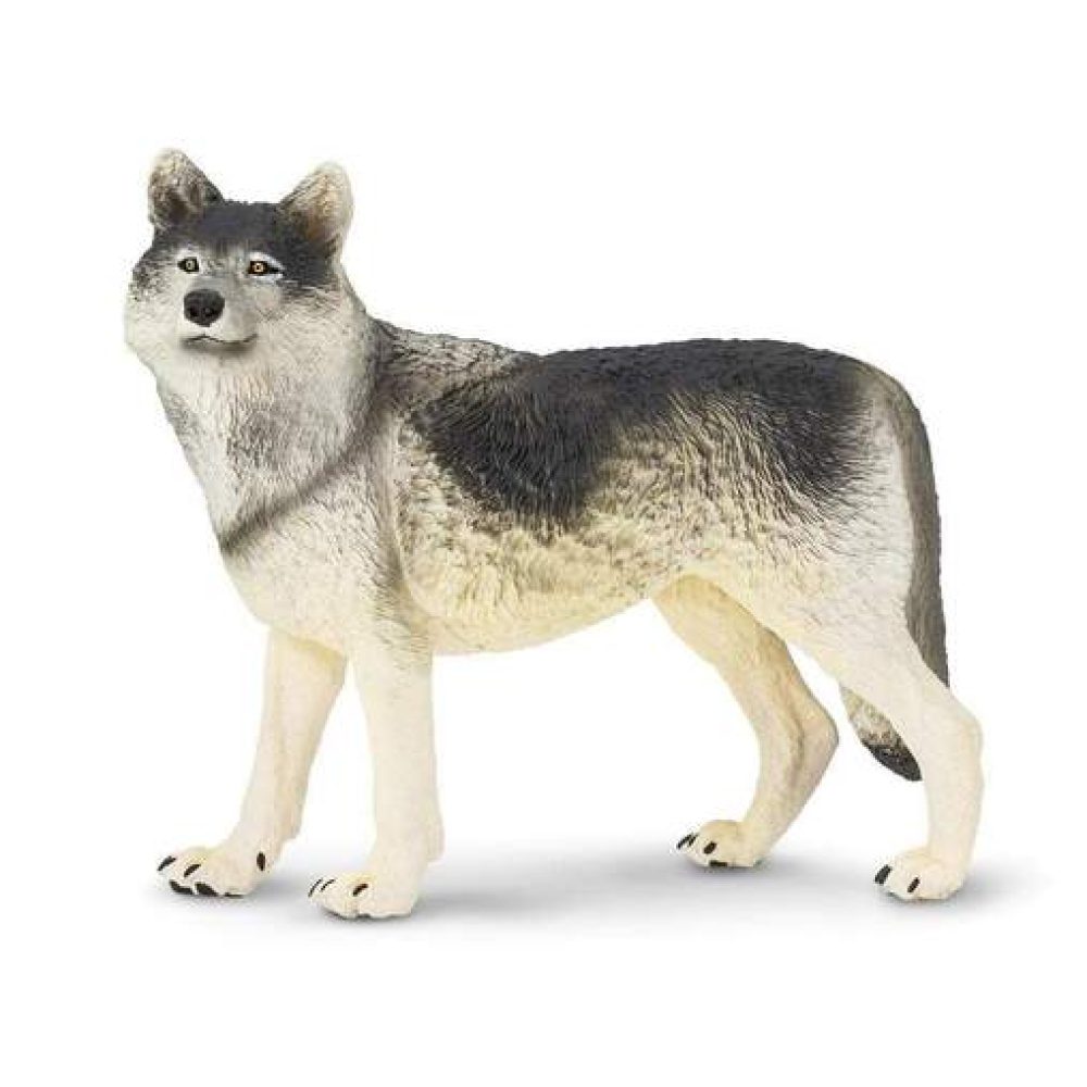 gray-wolf-338612_508x508