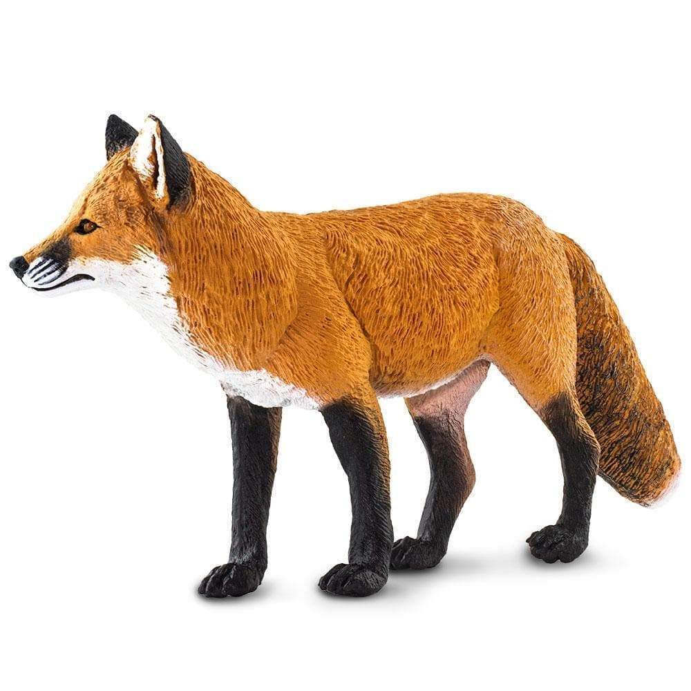 red-fox-126686_1000x1000