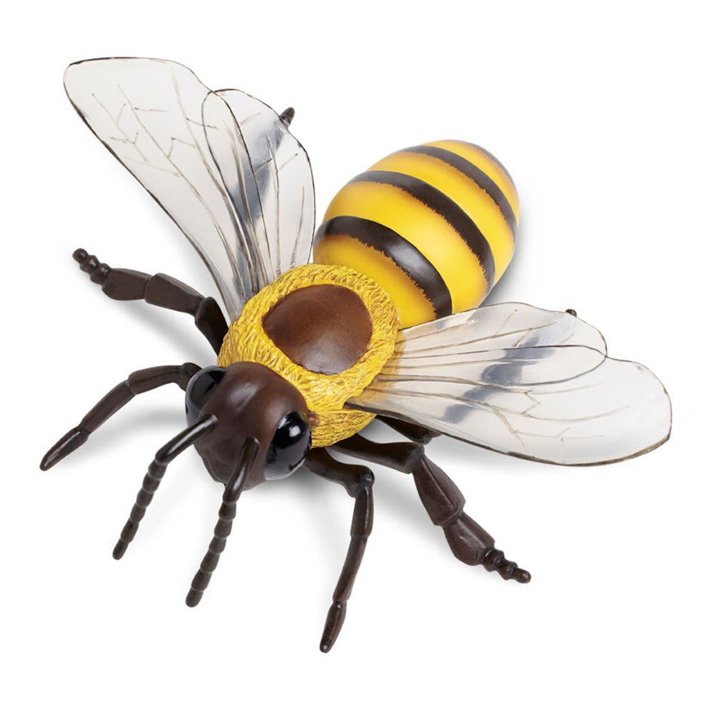 safari-ltd-honey-bee