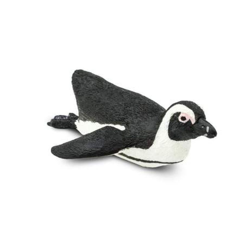 south-african-penguin-845116_461x461