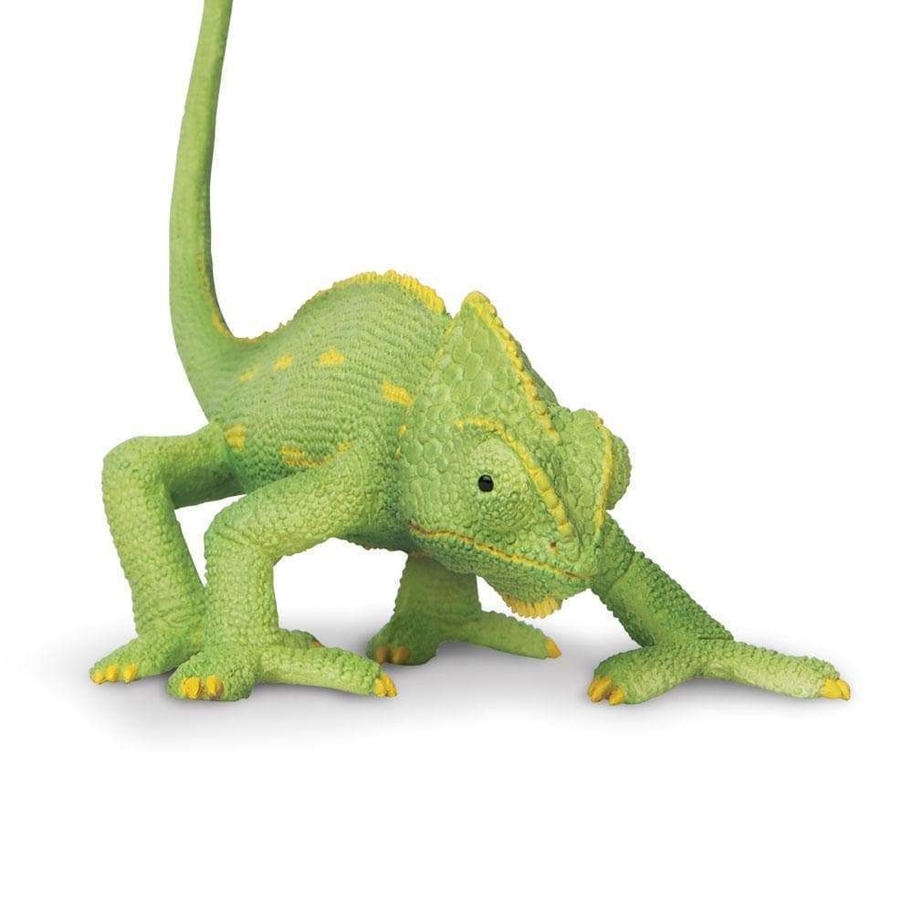 veiled-chameleon-baby-914530_1000x1000